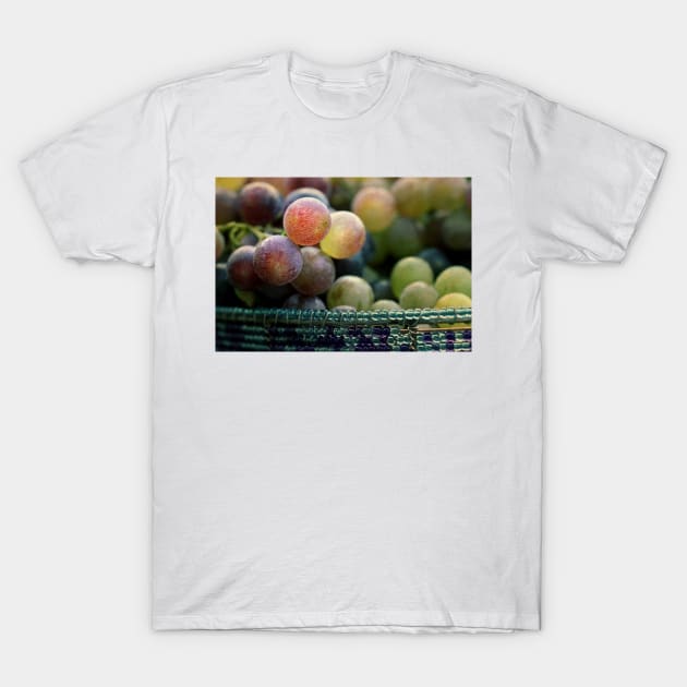 The Harvest T-Shirt by micklyn